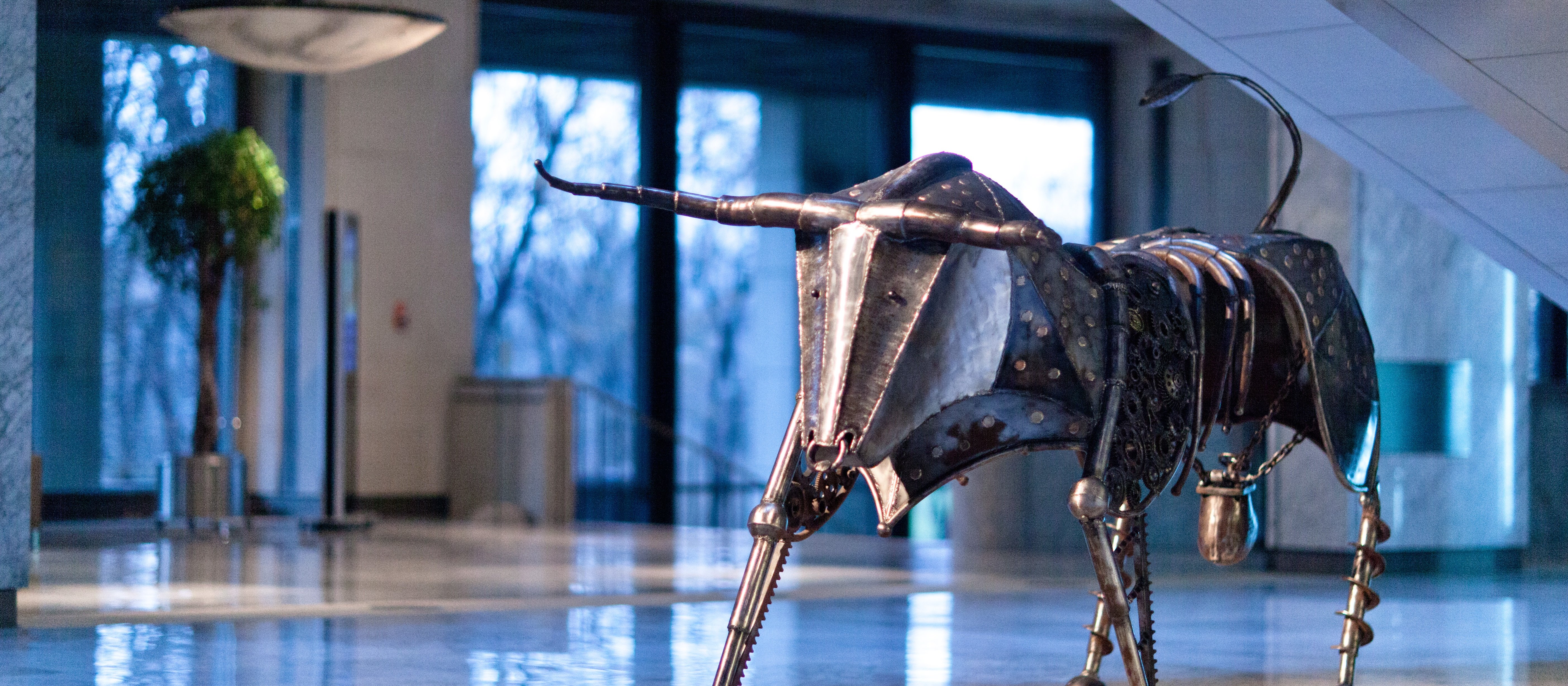 Byki zaczynają mieć wątpliwości