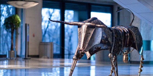 Byki zaczynają mieć wątpliwości