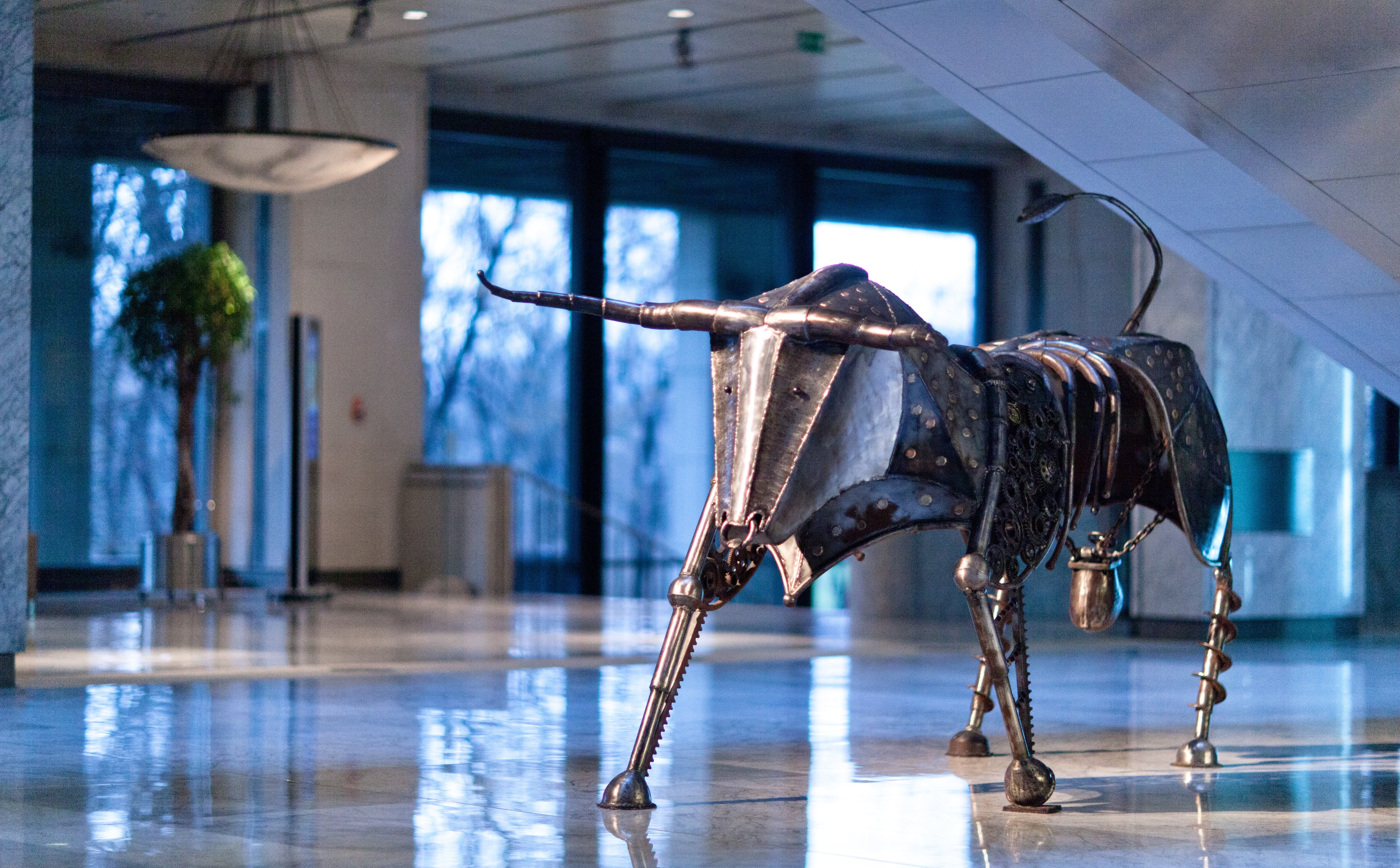 Czwartek na rynku: Byki pokazują moc, tak samo ja Orlen, Cyfrowy i GPW