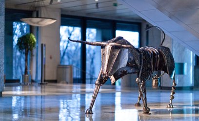 Byki zaczynają mieć wątpliwości