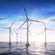 ZE PAK z duńskim partnerem mają zgodę na wspólną spółkę offshore