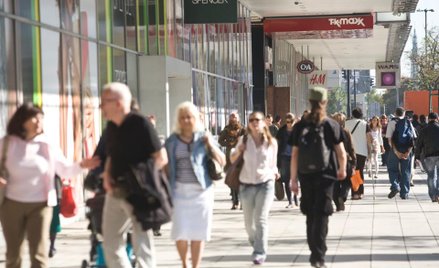 Rynek pracy: Najwięcej wakatów od blisko dekady