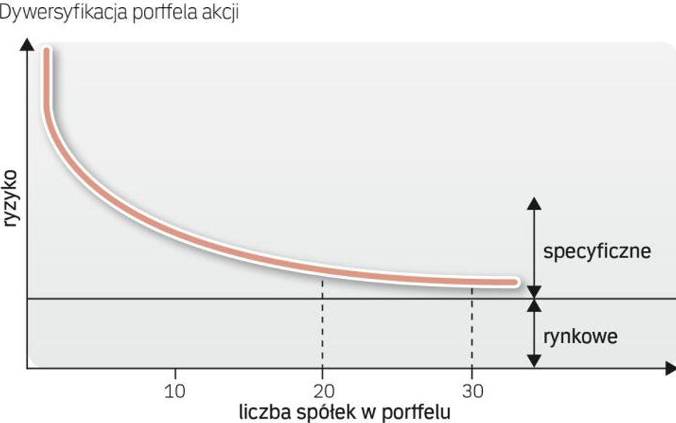 Dywersyfikacja portfela akcji
