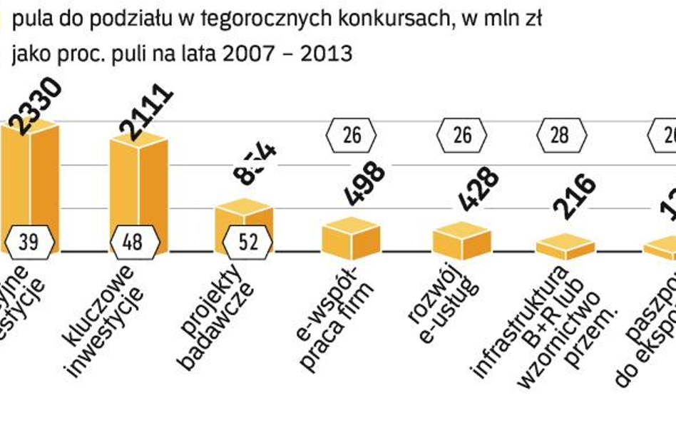 W tym roku do podziału jest prawie 6,6 mld zł. W 2009 r. w konkursach dla firm („Innowacyjna gospoda