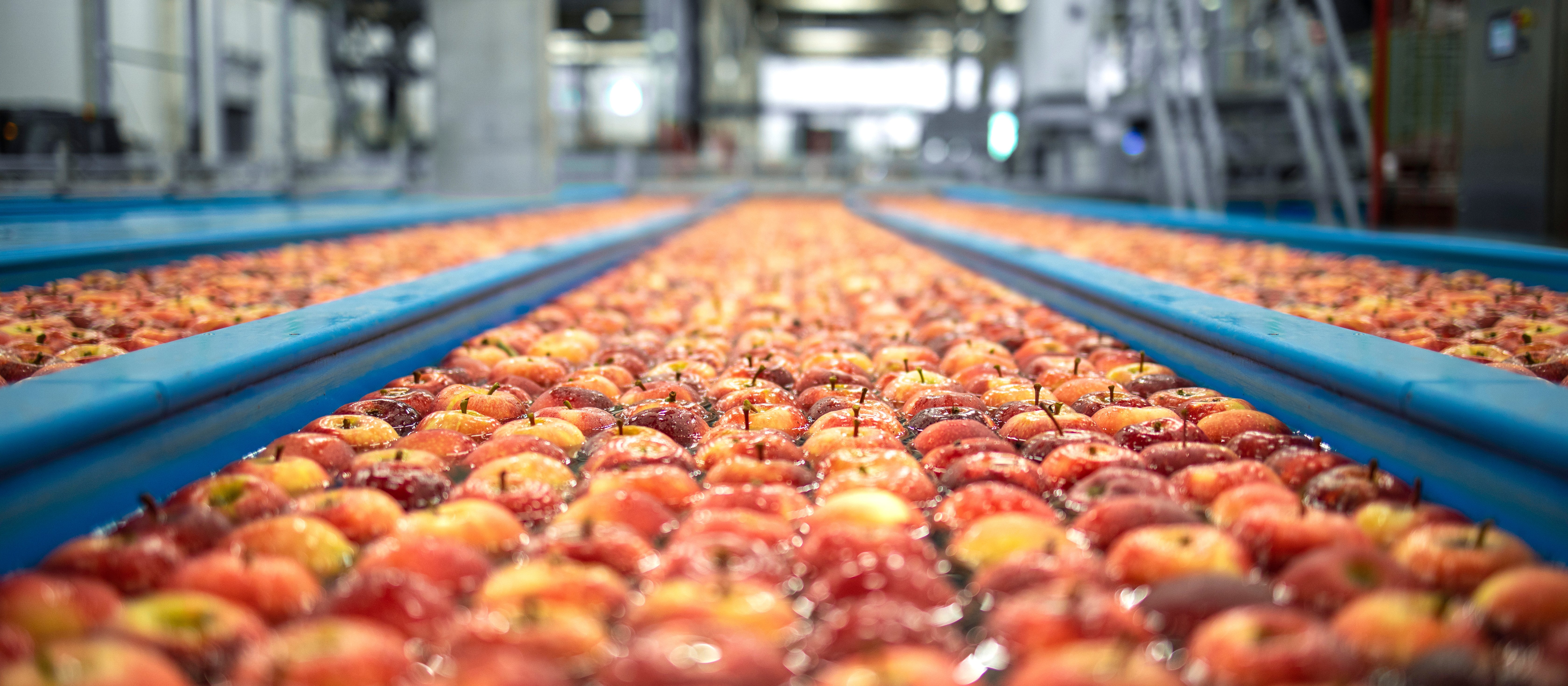 Polska żywność szuka nowych rynków. Spadki w Niemczech, wzrosty gdzie indziej