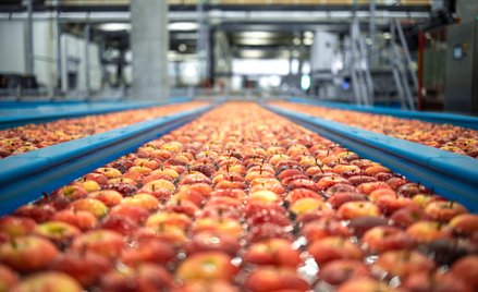 Polska żywność zdobywa nowe rynki. Francja i Afryka zyskują na znaczeniu