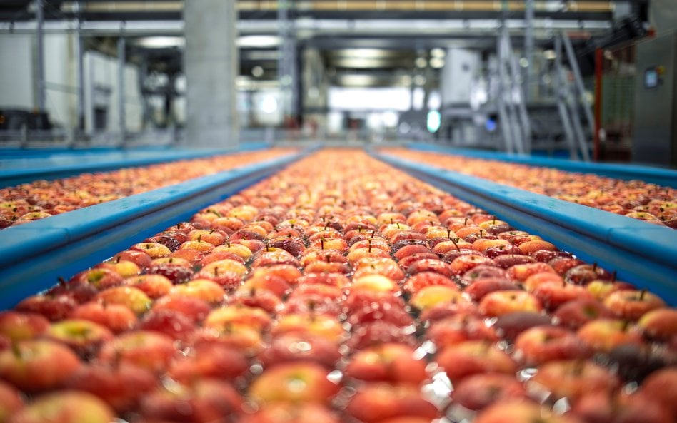 Polska żywność zdobywa nowe rynki. Francja i Afryka zyskują na znaczeniu