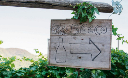 Nieprawdopodobna kariera prosecco