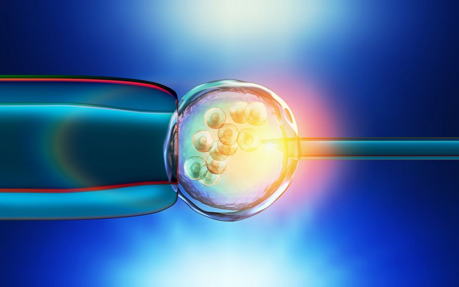 Dzieci poczęte dzięki in vitro mogą być bardziej narażone na raka