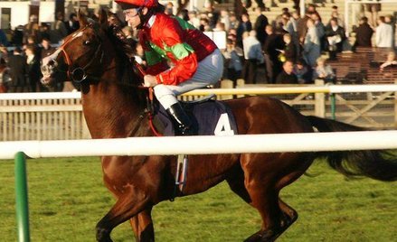 NIK o nadzorze nad torem wyścigów konnych na Służewcu