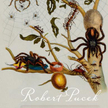 Robert Pucek, „Pająki pana Roberta”, Wydawnictwo Czarne, Wołowiec, 2014