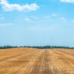 Ochrona gruntów rolnych i leśnych ogranicza inwestycje