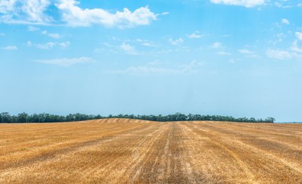 Ochrona gruntów rolnych i leśnych ogranicza inwestycje