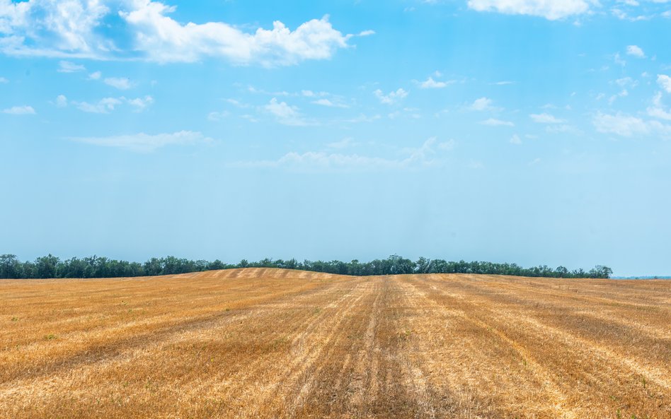 Ochrona gruntów rolnych i leśnych ogranicza inwestycje