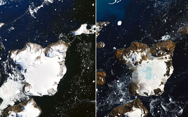 Antarktyka: W 9 dni na wyspie stopiło się 20 proc. śniegu