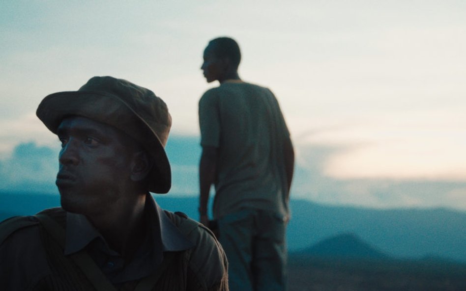 Kiedy owca staje sie lwem