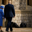 Królowa tresuje Trumpa, a on zaćmiewa słońce