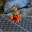 Klimatyczny sojusz bankowy rozpadnie się? Kryzys dociera do Europy