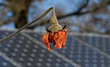 Klimatyczny sojusz bankowy rozpadnie się? Kryzys dociera do Europy
