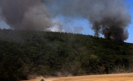 Pożary we Francji odpowiedzialne za rekordowe emisje CO2