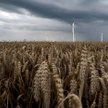 Łatwiejszy zakup ziemi przez polskich rolników