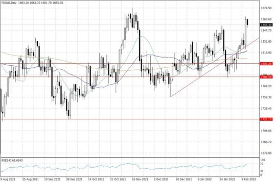 Notowania złota – dane dzienne