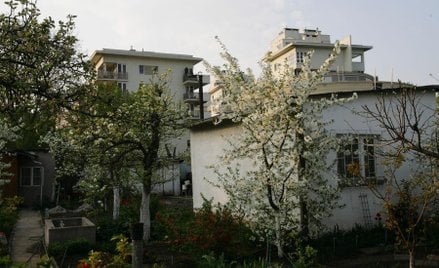 Lewicowy parasol nad działkami