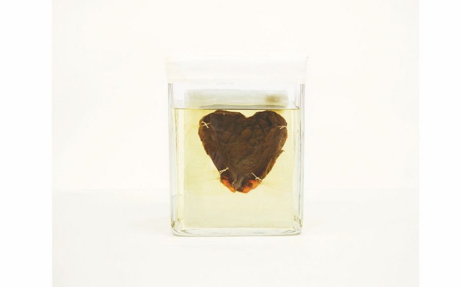 Agnieszka Rayss, Muzeum poligonu  nuklearnego, Kurczatow, Kazachstan, z cyklu "Ostatnia  rozmowa z a