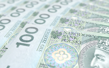 MF zaoferuje obligacje za 5-9 mld zł na jednym przetargu sprzedaży w sierpniu