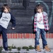 Coccodrillo - katalog jesienny