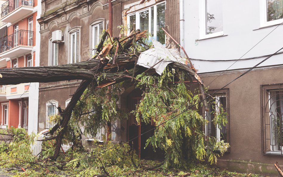 Intensywność i siła katastrof żywiołowych wzrasta