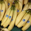Bananowy gigant Chiquita zwalnia ponad połowę swoich pracowników w Panamie