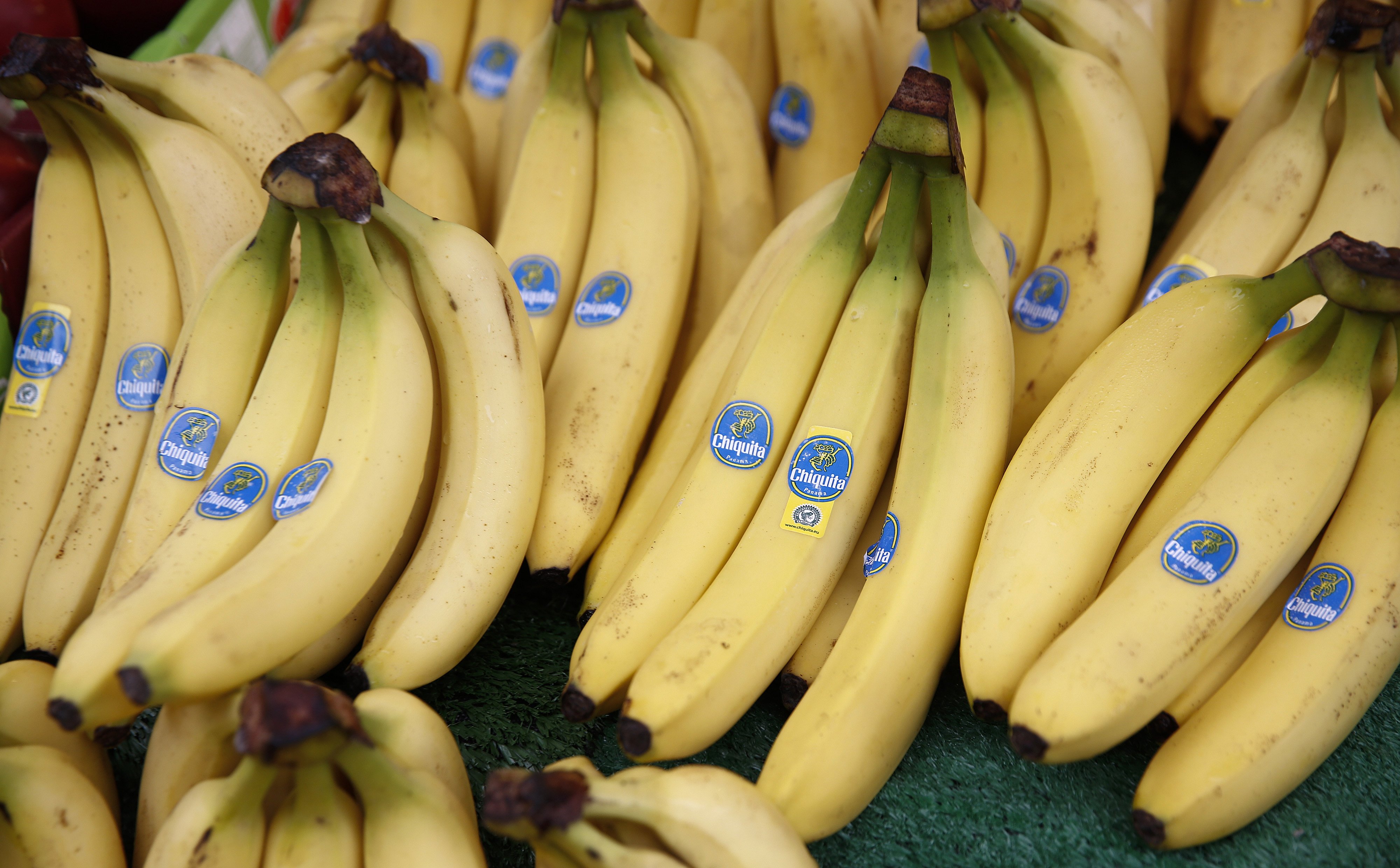 Chiquita zwalnia połowę swoich pracowników w Panamie. Gigantyczne straty przez strajk