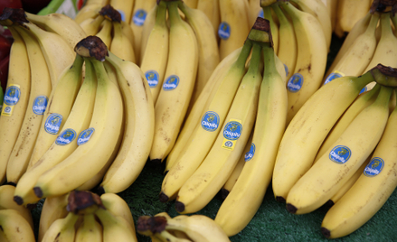 Bananowy gigant Chiquita zwalnia ponad połowę swoich pracowników w Panamie