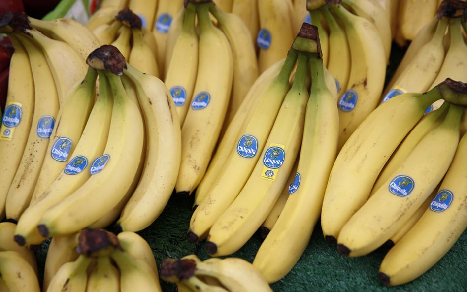 Bananowy gigant Chiquita zwalnia ponad połowę swoich pracowników w Panamie