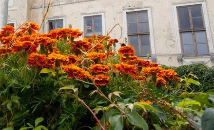 Reprywatyzacja: zwrot pałacu w Nawojowej w rękach ministra