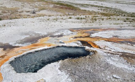 USA: Gejzer wyrzucił śmieci. Najstarsze są z lat 30.