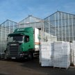 Firmy muszą się wystrzegać spekulacji
