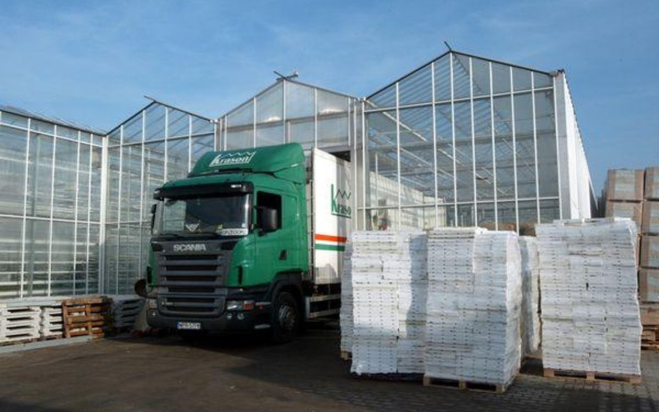 Firmy muszą się wystrzegać spekulacji
