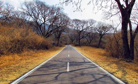 Powiatową drogę oświetli gmina