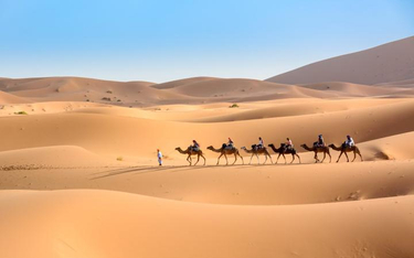 Pustynna Sahara przed tysiącami lat tętniła życiem.