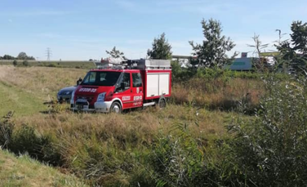 W zaroślach odnaleziono ciało byłego piłkarza Lechii Gdańsk - Henryka Kliszewicza.