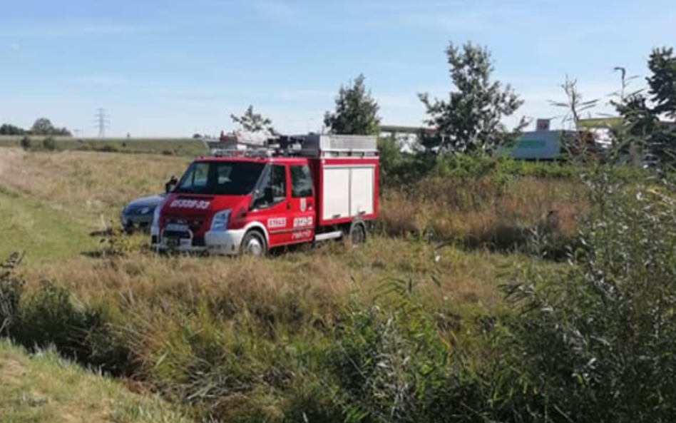 W zaroślach odnaleziono ciało byłego piłkarza Lechii Gdańsk - Henryka Kliszewicza.