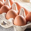 Jaja wycofano ze sprzedaży, wykryto salmonellę na fermie drobiu