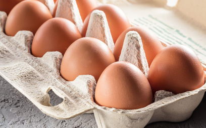 Jaja wycofano ze sprzedaży, wykryto salmonellę na fermie drobiu