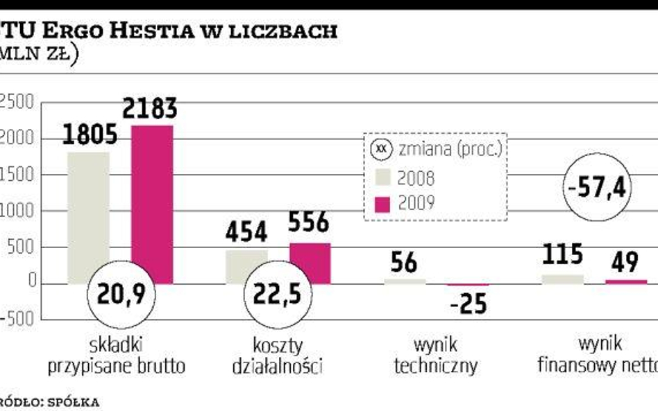 Hestia słono płaci za wzrost przychodów