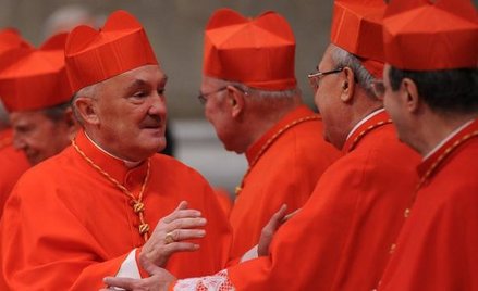 Kard. Kazimierz Nycz w sobotę otrzymał biret od Benedykta XVI. Na zdjęciu przyjmuje gratulacje od in