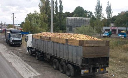 Czasem łupiny przewieziesz bez zezwolenia