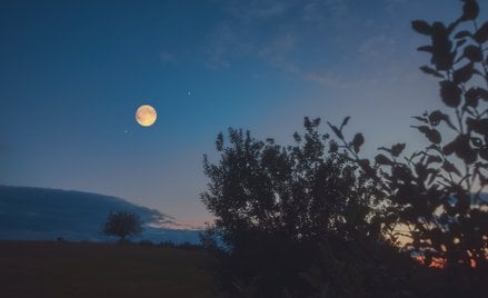 W sobotę 24 października wieczorem będzie można obserwować koniunkcję Księżyca z Saturnem / zdj. ilu