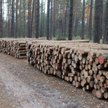 Lasy Państowe zmieniły zasady zakupu drewna